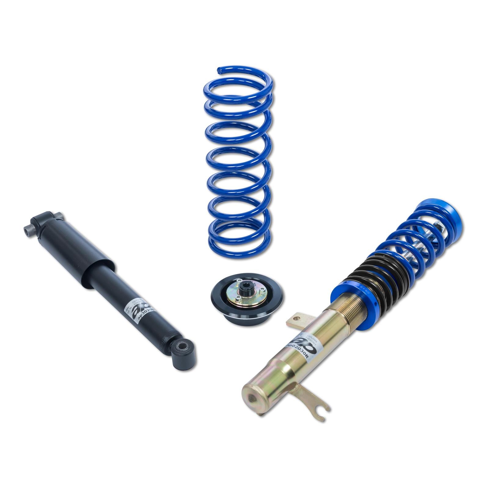ap Coilover Suspension for Ford (DN1, DNW) Focus I Turnier