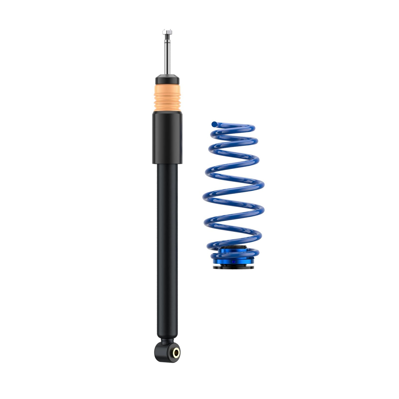 ap Coilover Suspension for BMW (E39) M5