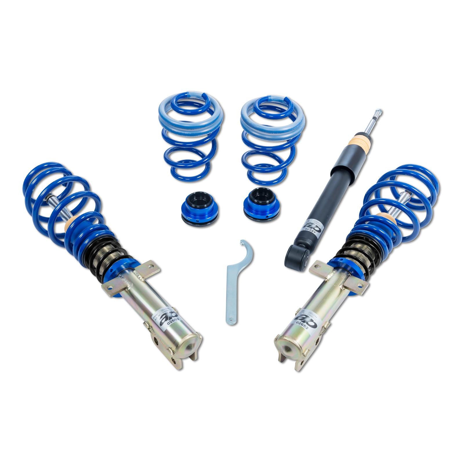 ap Coilover Suspension Galvanized Steel for Renault (BR0/1, CR0/1) Clio III