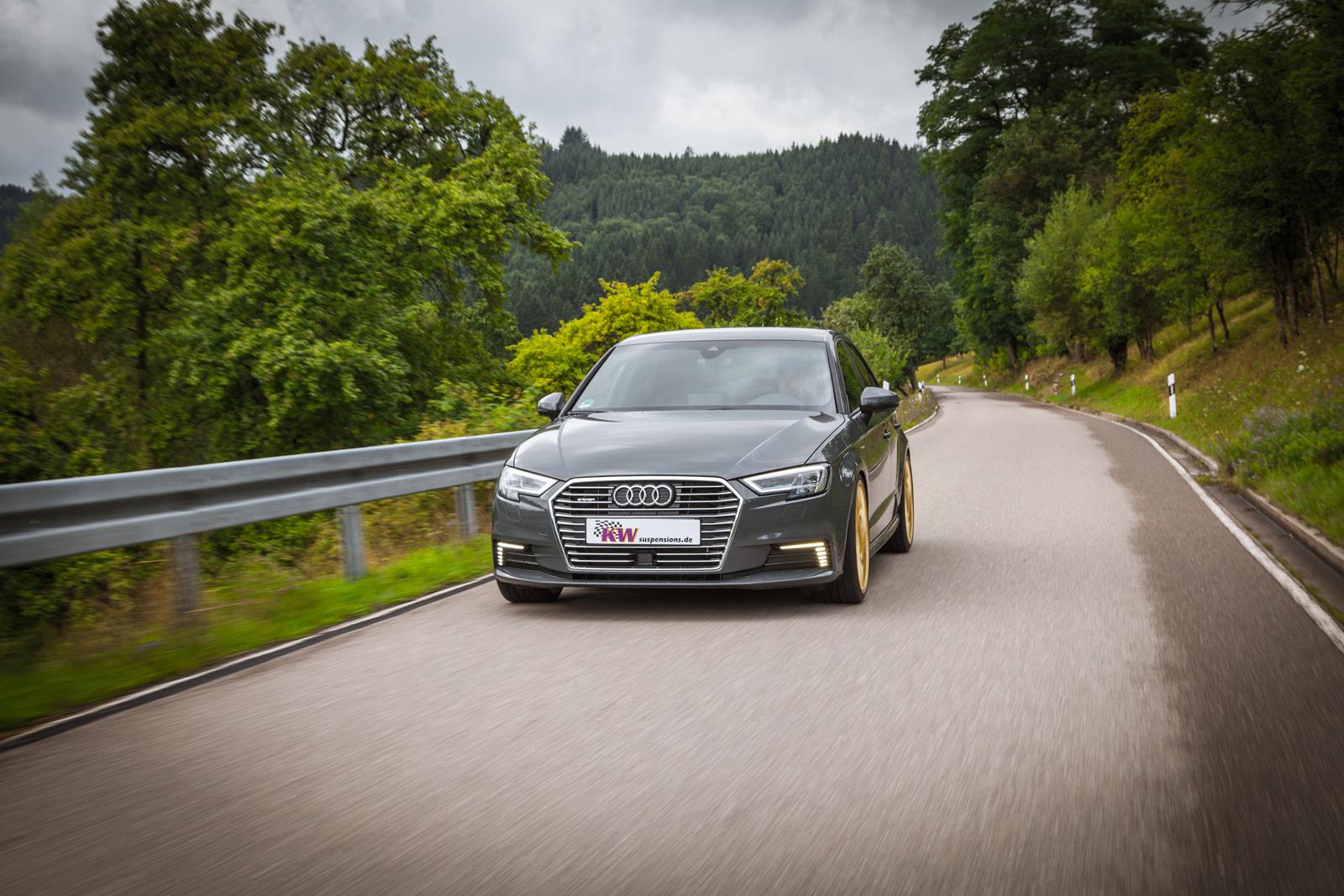 KW Coilover suspension V3 inox AUDI A3 Convertible (8V7, 8VE) 10/2013- (35282017)