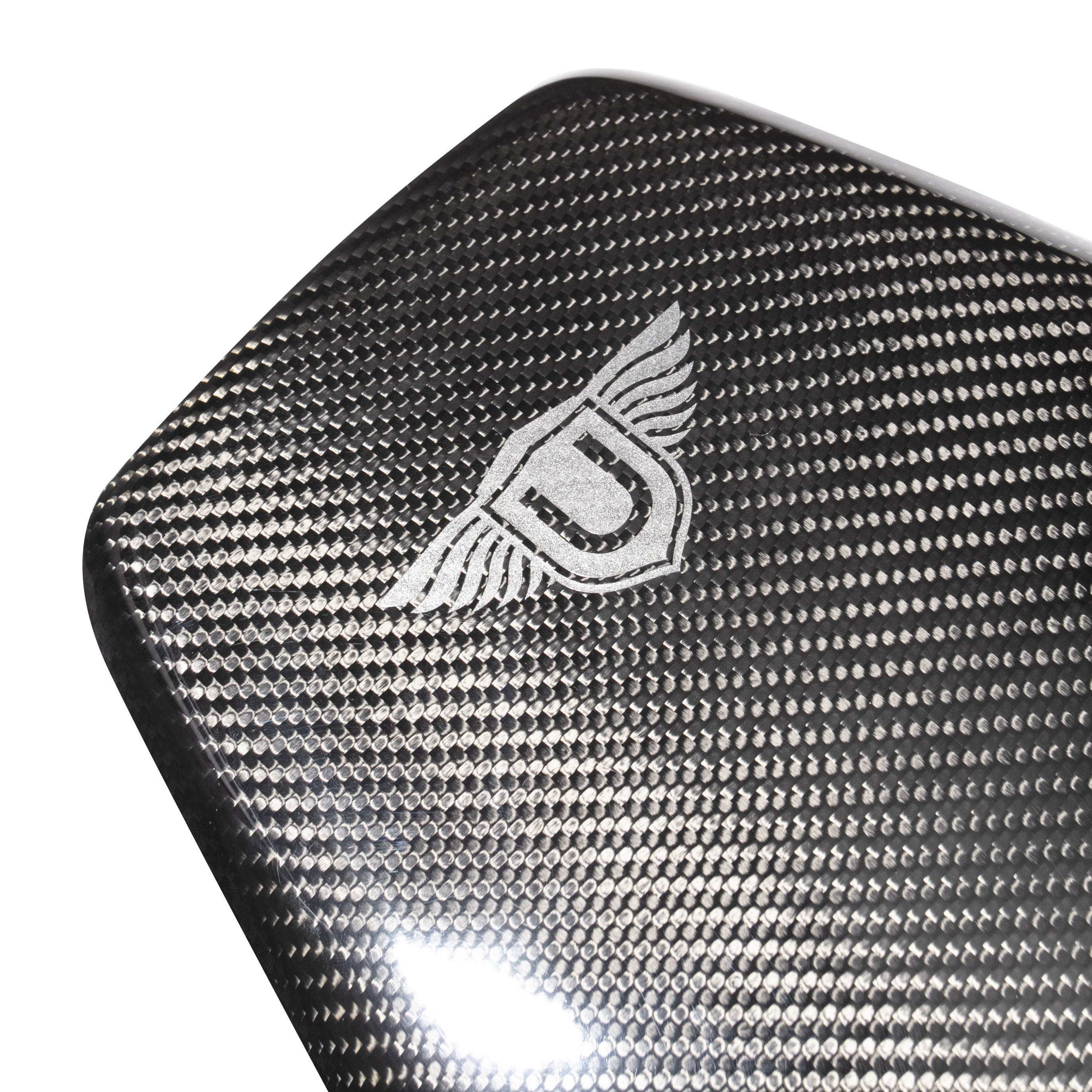 Urban Carbon Fibre Seat Backs with Pinstripe (L494 SVR 2015-2017)