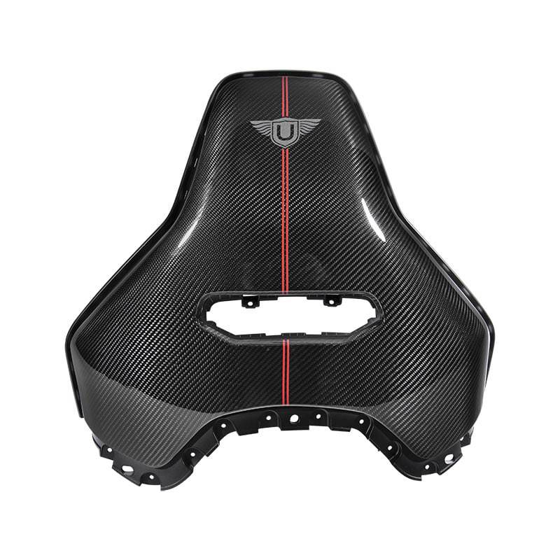 Urban Carbon Fibre Seat Backs with Pinstripe (L494 SVR 2018-)