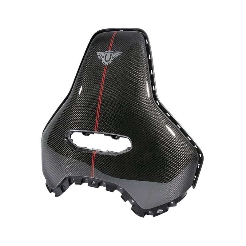 Urban Carbon Fibre Seat Backs with Pinstripe (L494 SVR 2018-)