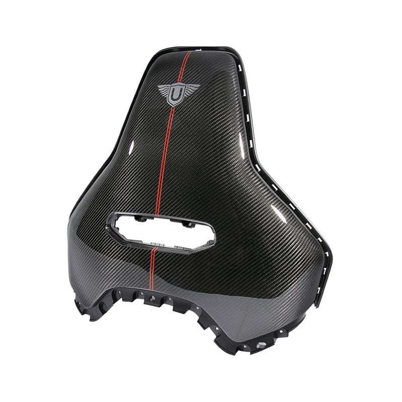 Urban Carbon Fibre Seat Backs with Pinstripe (L494 SVR 2018-)