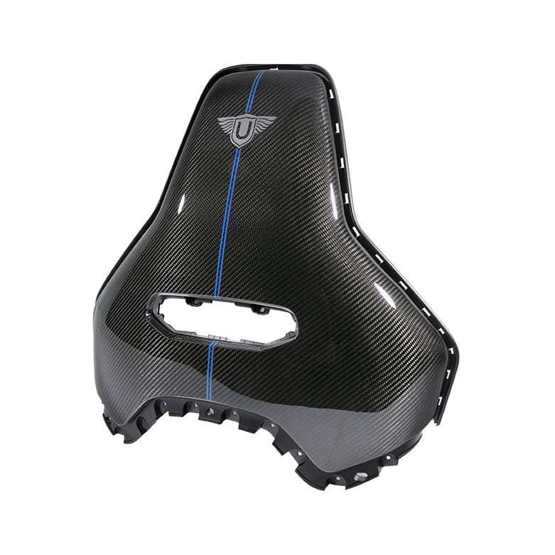 Urban Carbon Fibre Seat Backs with Pinstripe (L494 SVR 2018-)