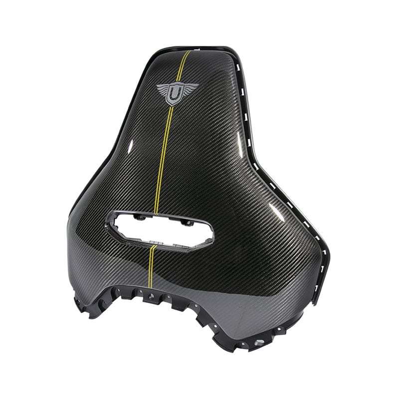 Urban Carbon Fibre Seat Backs with Pinstripe (L494 SVR 2018-)