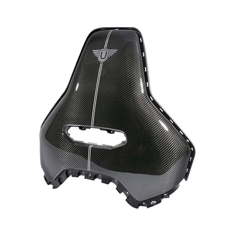 Urban Carbon Fibre Seat Backs with Pinstripe (L494 SVR 2018-)