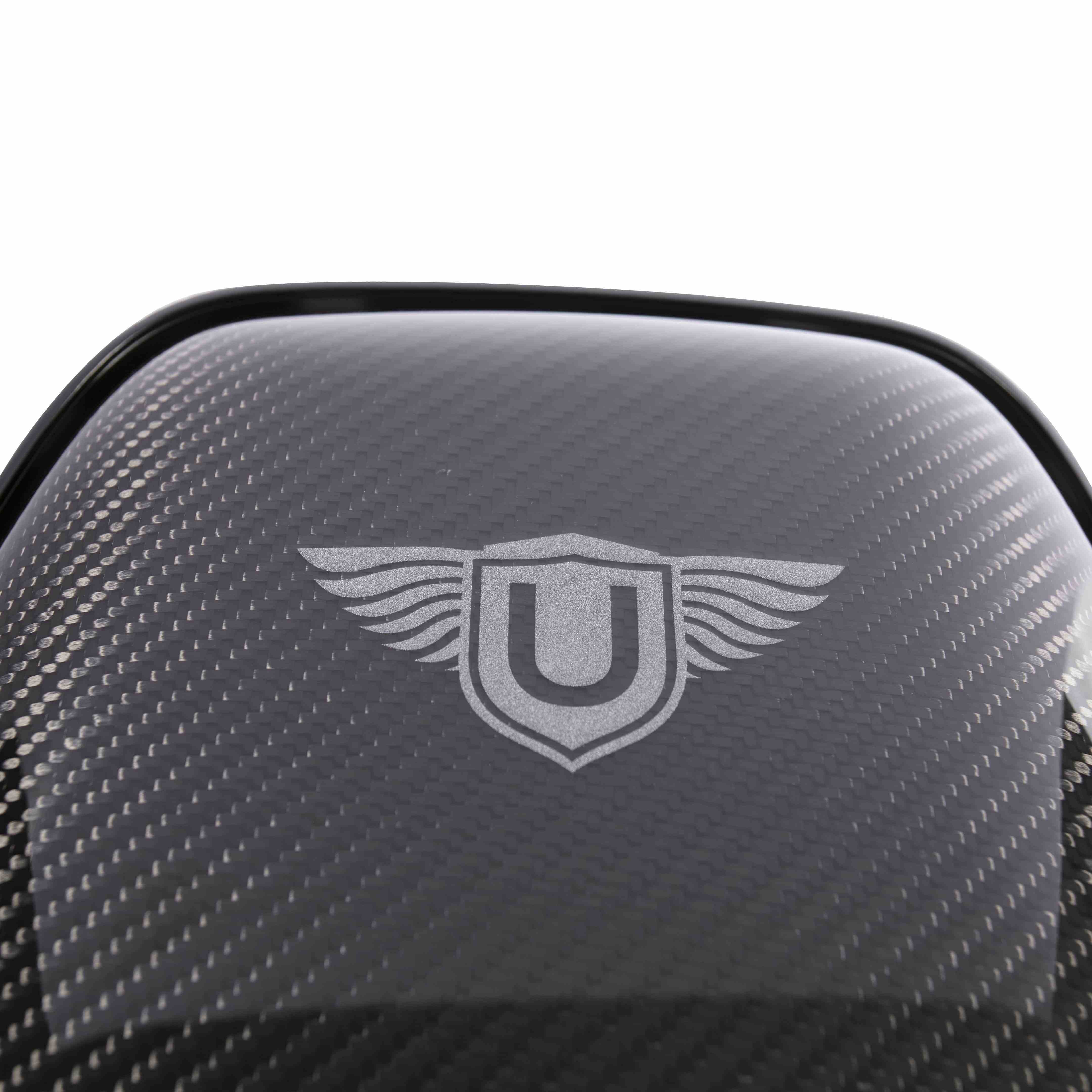 Urban Carbon Fibre Seat Backs (L494 SVR 2018-)