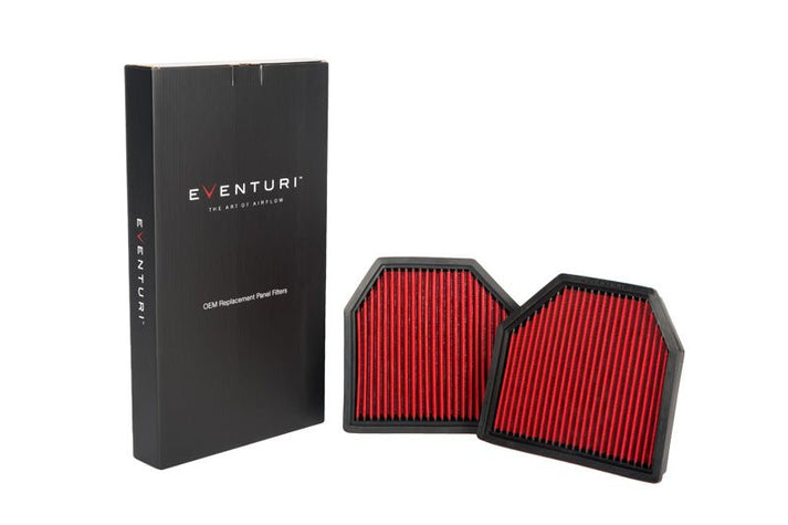 Eventuri BMW F8X M3/M4 Panel Filter Pair