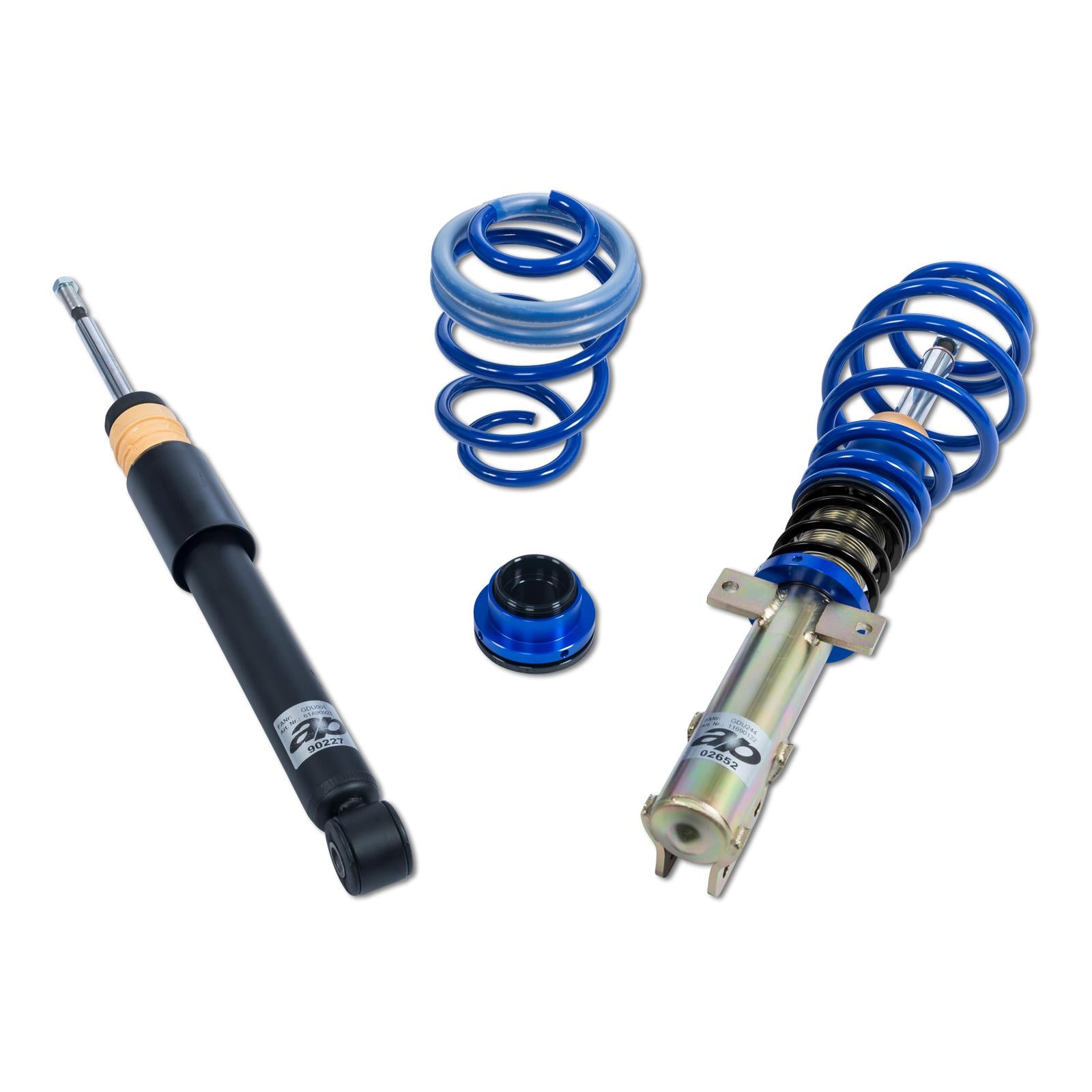 ap Coilover Suspension Galvanized Steel for Renault (BR0/1, CR0/1) Clio III