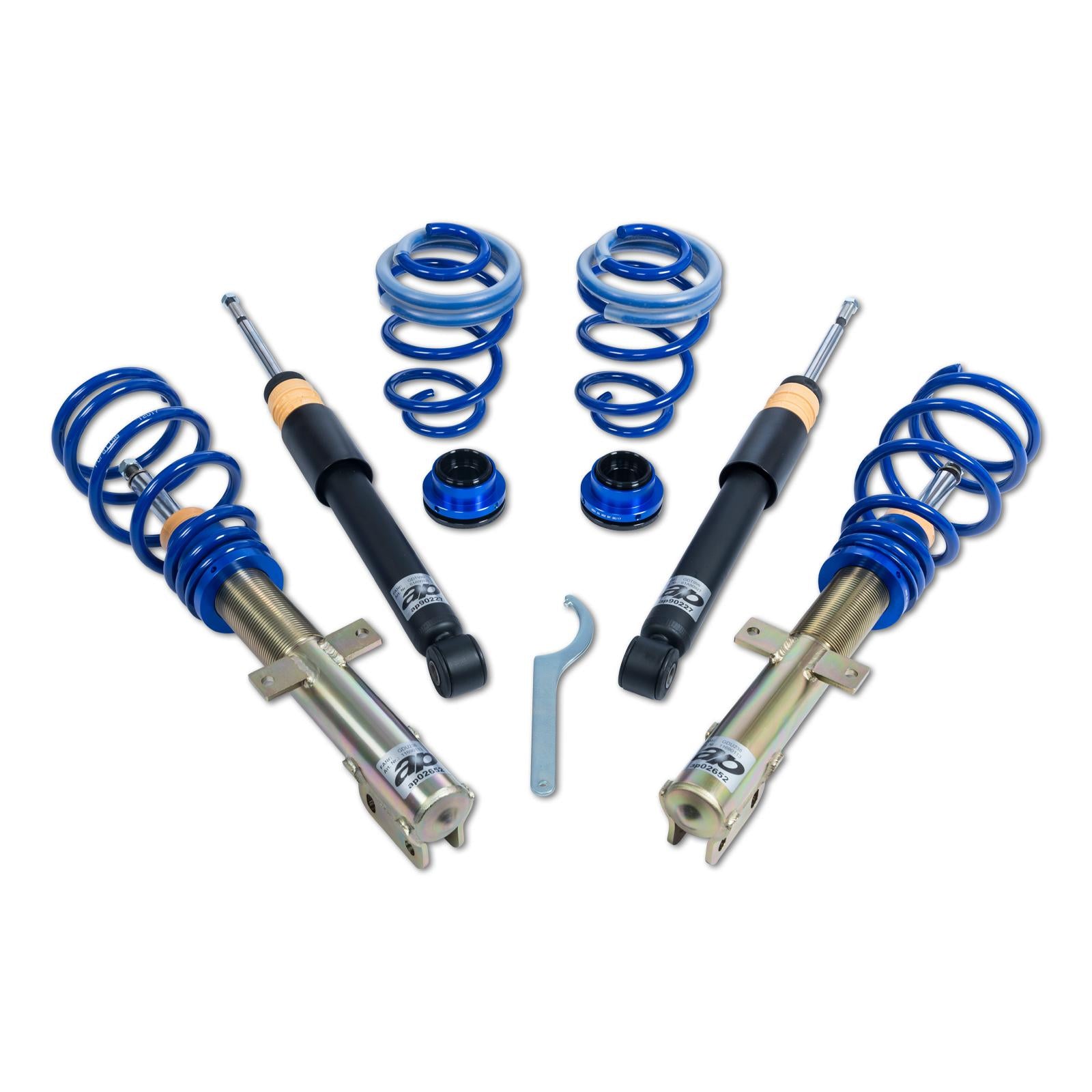 ap Coilover Suspension for Renault (BR0/1, CR0/1) Clio III