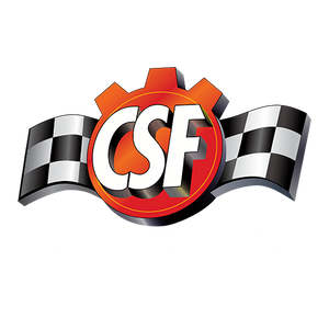 CSF