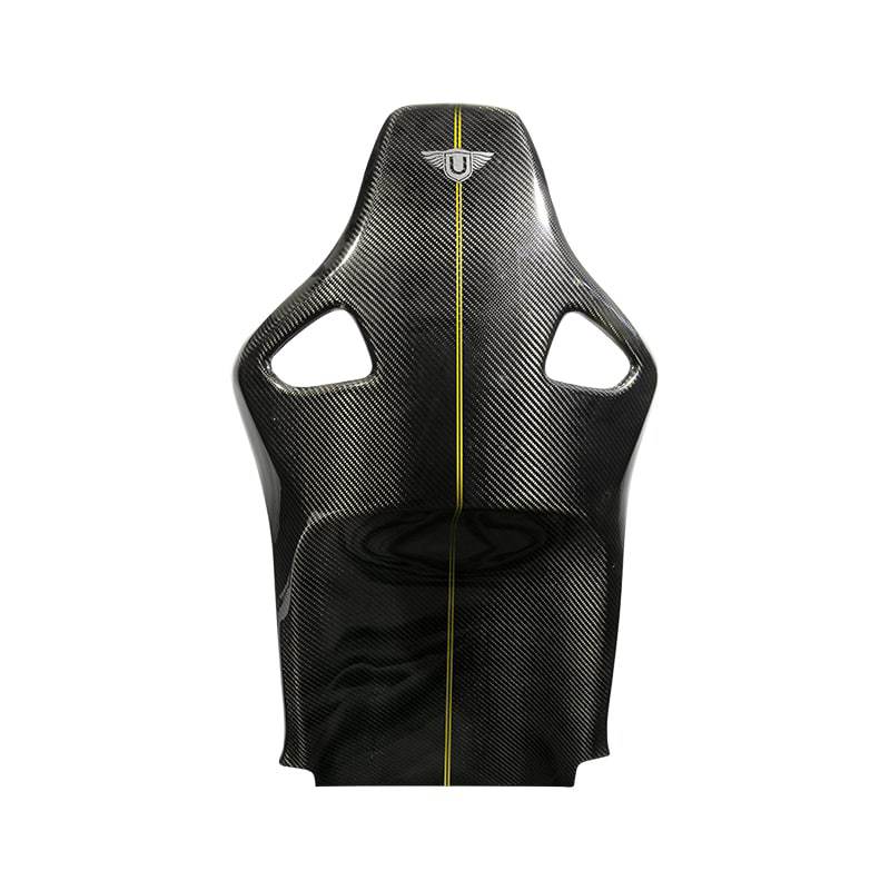 Urban Carbon Fibre Seat Backs with Pinstripe (L494 SVR 2015-2017)