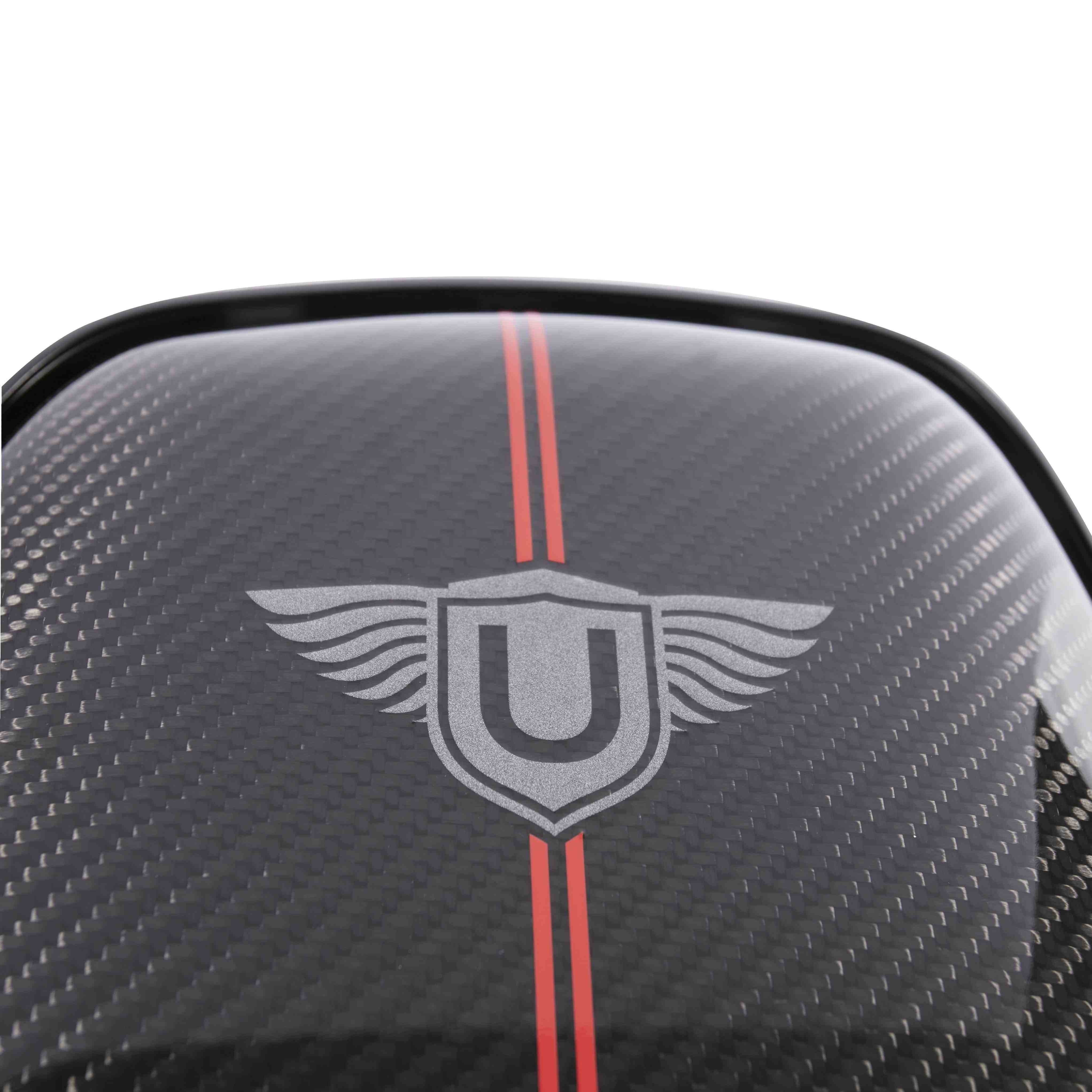 Carbon Fibre Seat Backs with Pinstripe (L494 SVR 2018-)